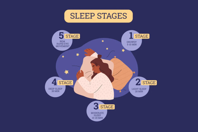 stages of sleep